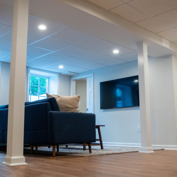 Basement Renovation