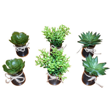Succulent and Boxwood With Glass Vase, Pack of 6, 5"