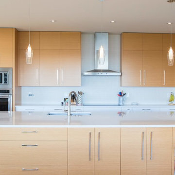 Contemporary Kitchen