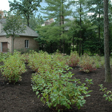 Naturalistic Contemporary