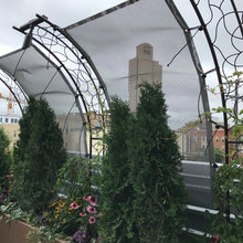 rooftop