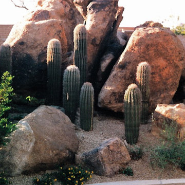 Modern, Southwestern Landscape & Walkway
