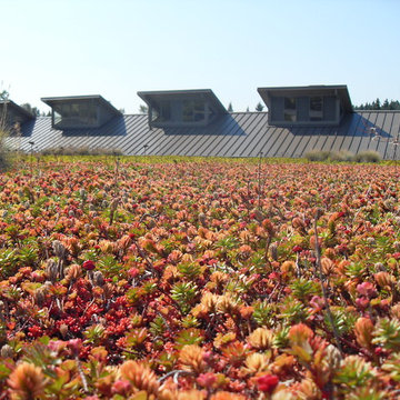 Etera® Sedum Tiles® installed at Glendale Country Club, Bellevue, WA