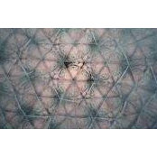 Demian LaPlante's photo