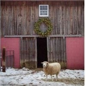 Gordon Anne Sammons's photo