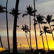 Kristen Bielefeldt's photo