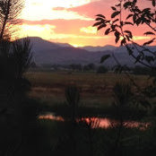 Vicki Pitmon's photo