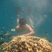 Miko Nugraha's photo
