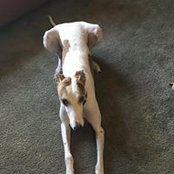 Loretta DeBoer's photo