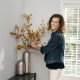 Blue Stone Staging & Design Company Blue Stone Staging & Design Company