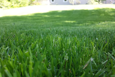 Lawn Care