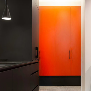 Contemporary Kitchen Design
