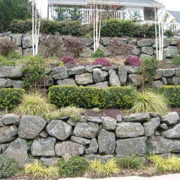 Olympic Rockeries