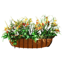 Traditional Outdoor Pots And Planters by Austram