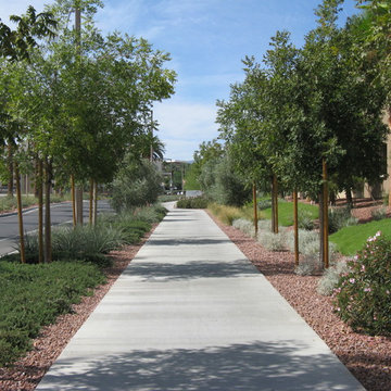 Linear Planting