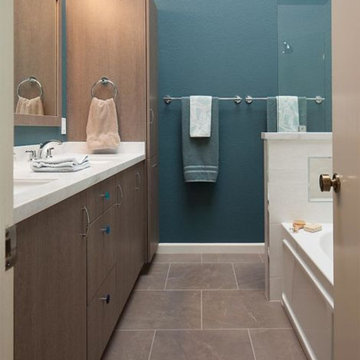 Master and Hall Bathroom Remodels