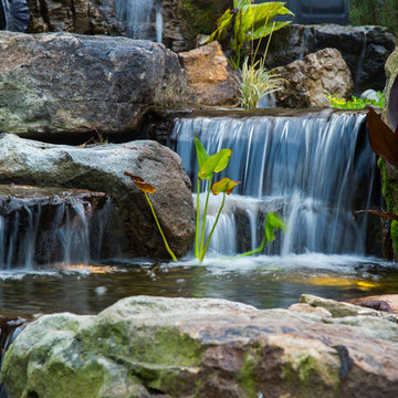 Streams and Waterfalls