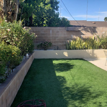 Backyard clean up and remodel