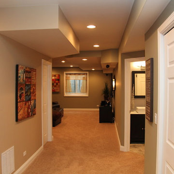 Lake Zurich Basement