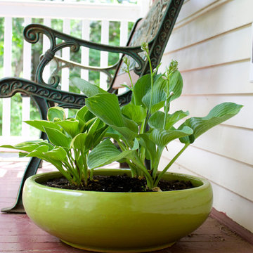 Container Gardens