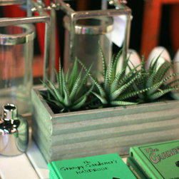 "at the shop" photos - Plants