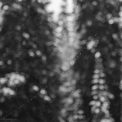 Christmas Snow - Products