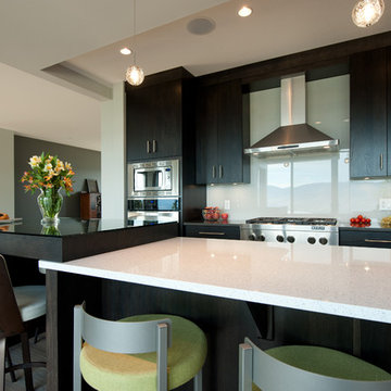 Hickory Shaker Kitchen in Coffee Bean