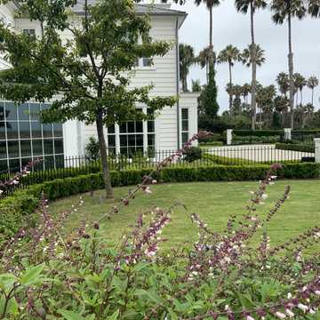 DSMA Planting
