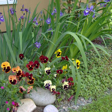 front garden ideas