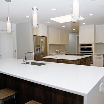 Transitional Kitchen - Two Tone