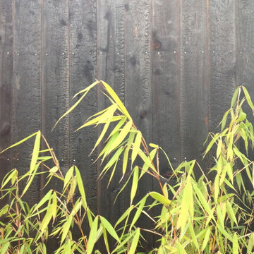 Kalaloch Shed