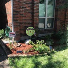 Exterior paint