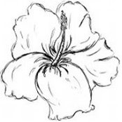 Amanda Rosenthal's photo