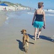 Ann Fleck's photo