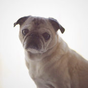 M AC's photo