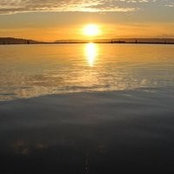 Aleksey Gorbunov's photo