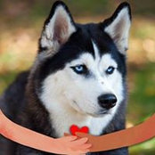 Barbara Moscowitz's photo