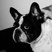 Marcelo Barbieri's photo