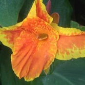 Susan Lewin's photo