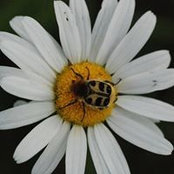 Mika Emm's photo
