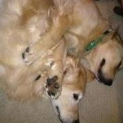 Holly Hoyt's photo
