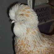 Terri Stoffer's photo