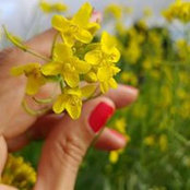 Foto von Alina Pacheco