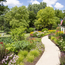 1550 Front Yard