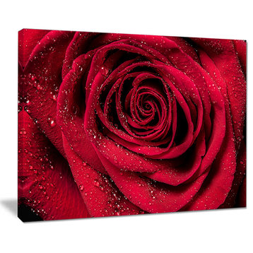 "Red Rose Petals With Rain Droplets" Canvas Print, 40"x30"