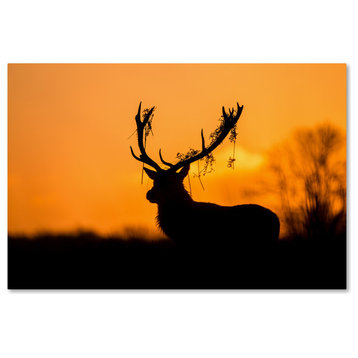 Stuart Harling 'Red Deer Stag Silhouette' Canvas Art, 47 x 30