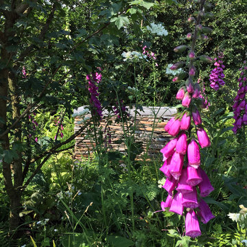 Exhibition / Bloom by Bord Bia 2016