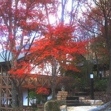 もみじの役目