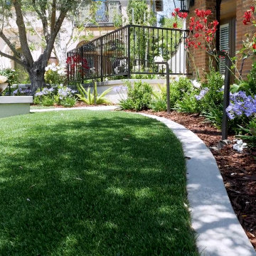 Contemporary Front Yard Renovation
