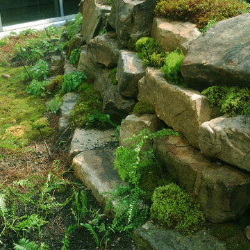 New Walls with Sense of Antiquity -- MOSS Appeal